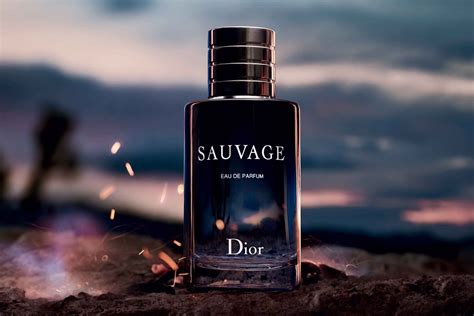 dior saubage|dior sauvage best price.